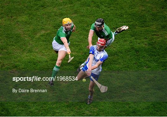 Limerick v Waterford - GAA Hurling All-Ireland Senior Championship Final