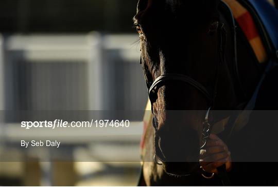 Horse Racing from Tramore Horse Racing from Tramore