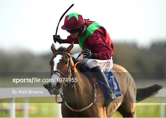 Horse Racing from Fairyhouse