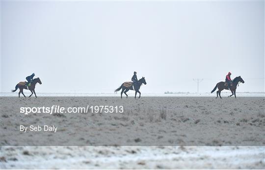 Horses on The Curragh Horses on The Curragh