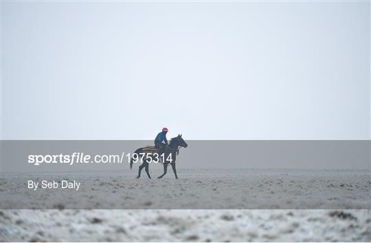 Horses on The Curragh