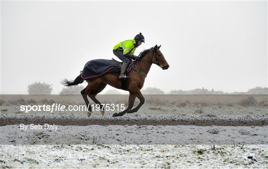 Horses on The Curragh