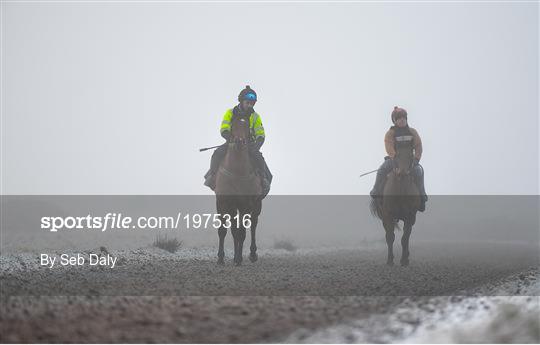 Horses on The Curragh