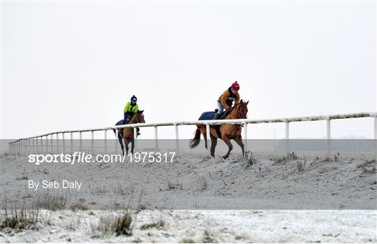 Horses on The Curragh