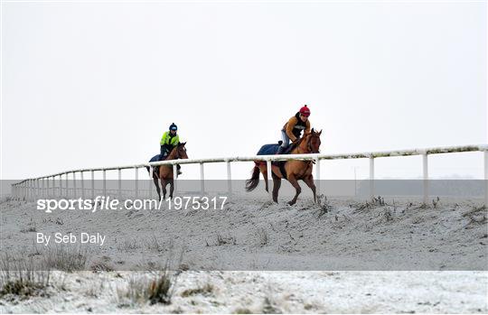 Horses on The Curragh Horses on The Curragh