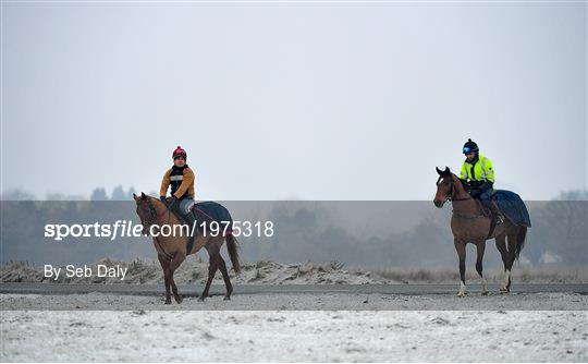 Horses on The Curragh