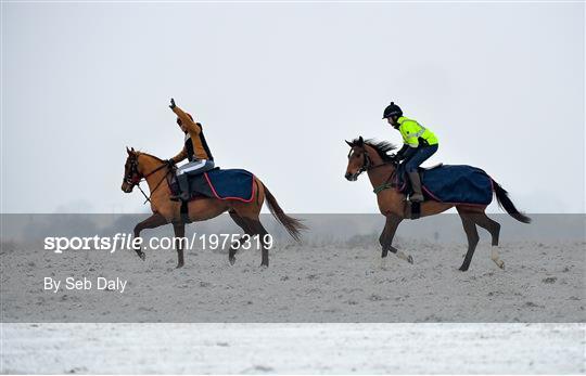 Horses on The Curragh