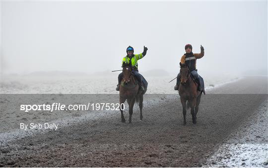 Horses on The Curragh Horses on The Curragh