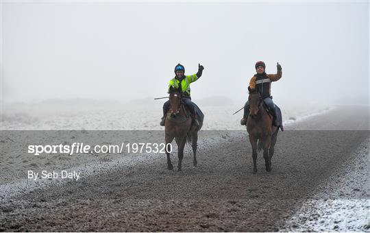 Horses on The Curragh