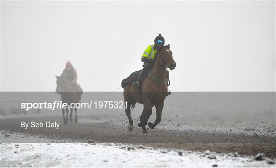 Horses on The Curragh Horses on The Curragh