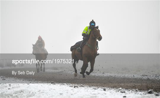 Horses on The Curragh