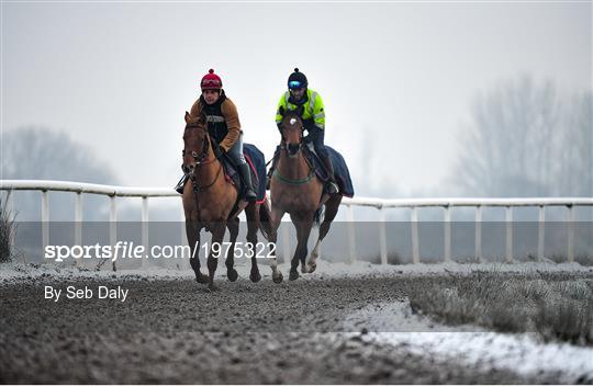 Horses on The Curragh