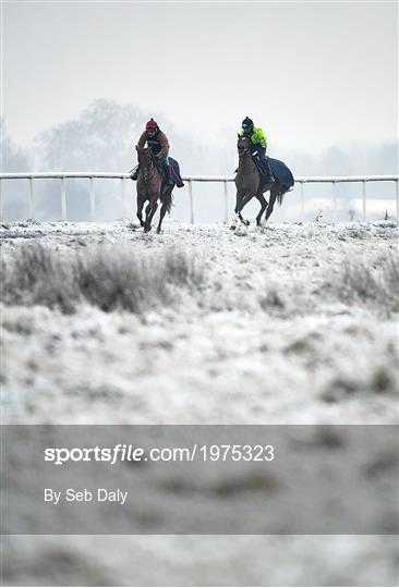 Horses on The Curragh Horses on The Curragh