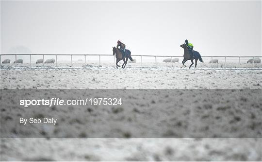 Horses on The Curragh Horses on The Curragh