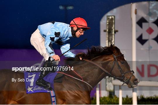 Horse Racing from Dundalk Horse Racing from Dundalk