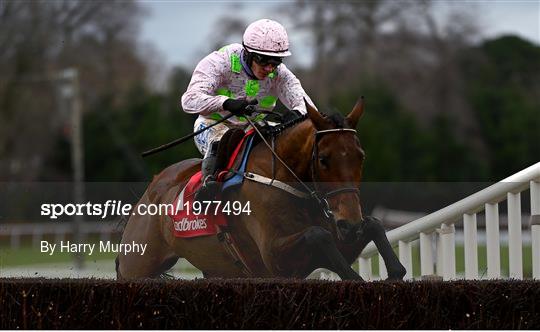 Dublin Racing Festival - Day 1