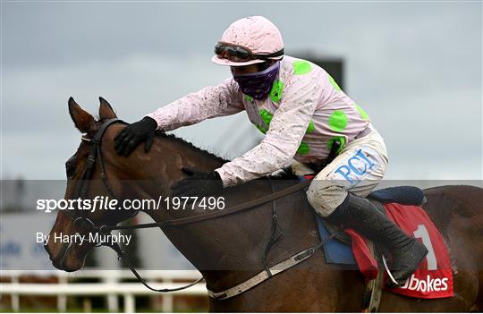 Dublin Racing Festival - Day 1