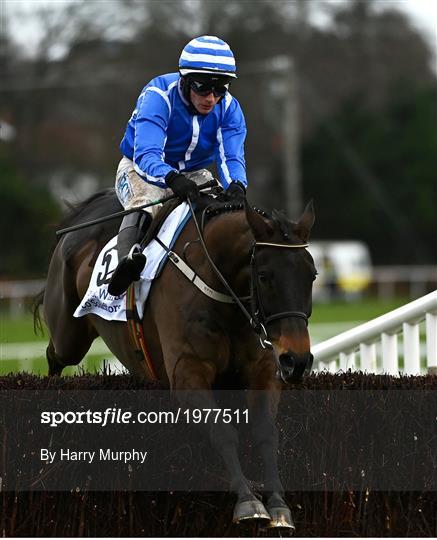 Dublin Racing Festival - Day 1