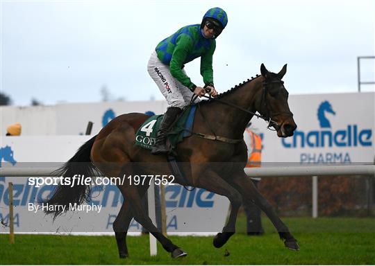 Dublin Racing Festival - Day 1