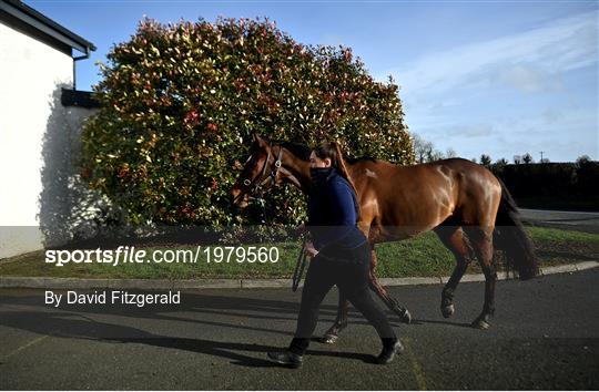 Horse Racing from Navan