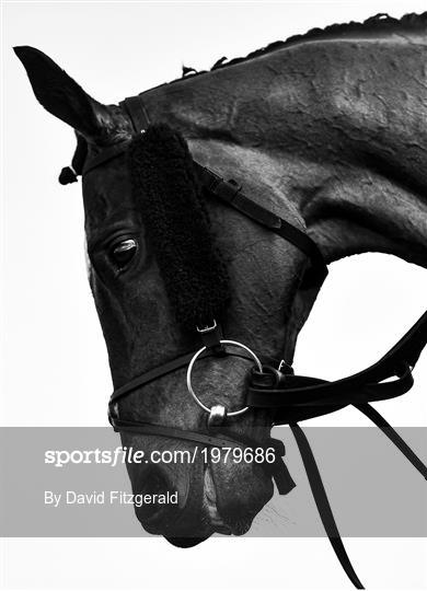 Horse Racing from Navan