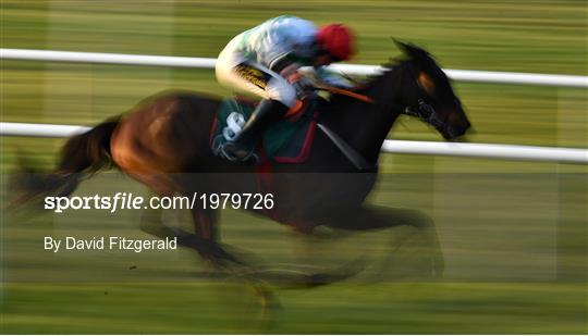 Horse Racing from Navan