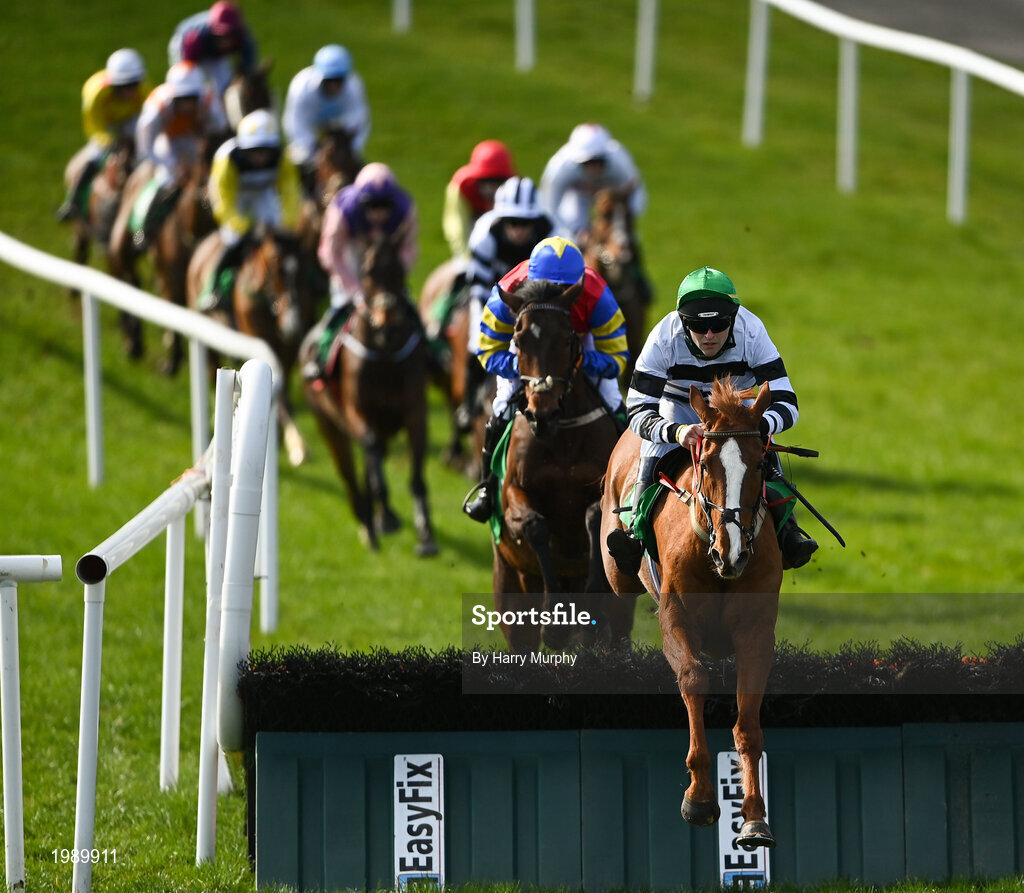 Sportsfile Horse Racing From Downpatrick Photos Page 1