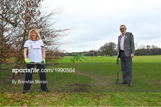 GAA Green Clubs mark National Tree Week