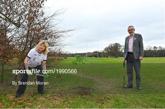 GAA Green Clubs mark National Tree Week GAA Green Clubs mark National Tree Week