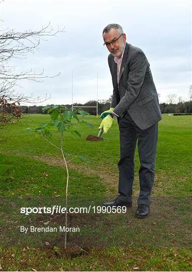 GAA Green Clubs mark National Tree Week GAA Green Clubs mark National Tree Week