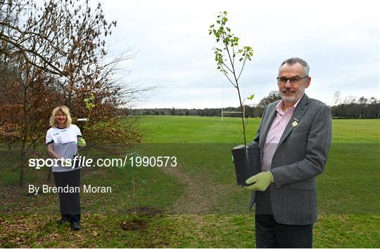 GAA Green Clubs mark National Tree Week