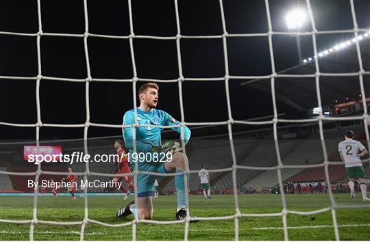 Serbia v Republic of Ireland - FIFA World Cup 2022 Qualifier