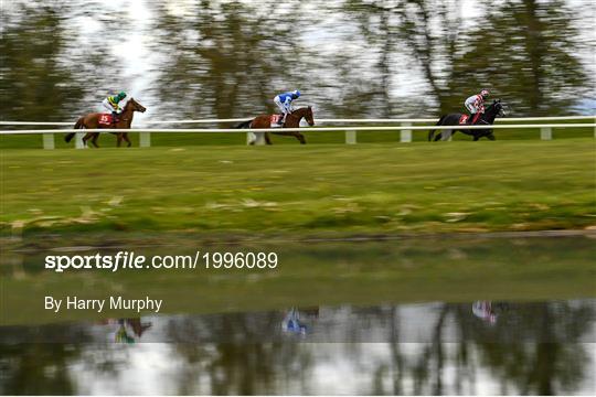 Horse Racing from Gowran Park Horse Racing from Gowran Park