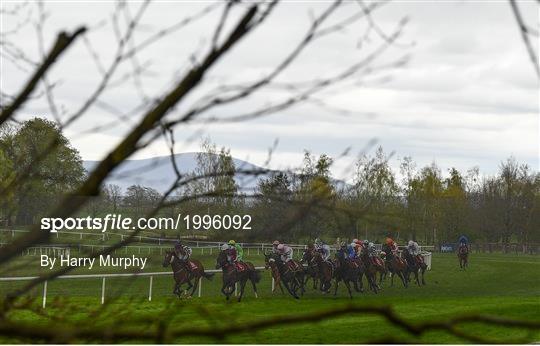 Horse Racing from Gowran Park Horse Racing from Gowran Park