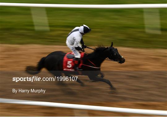 Horse Racing from Gowran Park Horse Racing from Gowran Park
