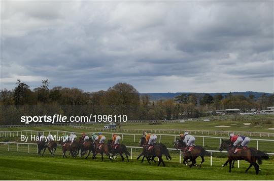 Horse Racing from Gowran Park Horse Racing from Gowran Park