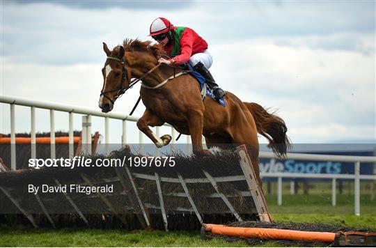 Horse Racing from Fairyhouse