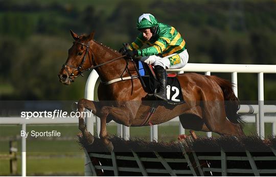 Punchestown Festival - Champion Stayers Hurdle Day