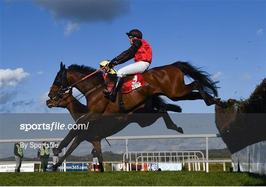 Punchestown Festival - Champion Hurdle Day