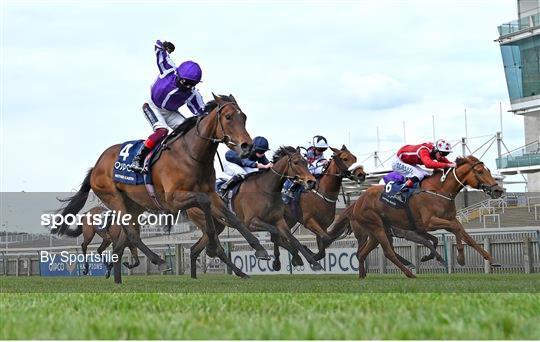 Horse Racing from Newmarket