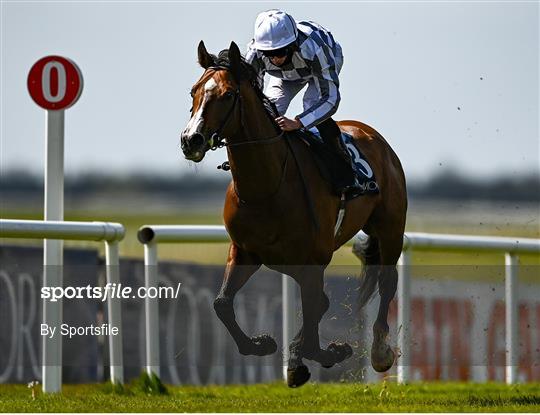 Horse Racing from The Curragh