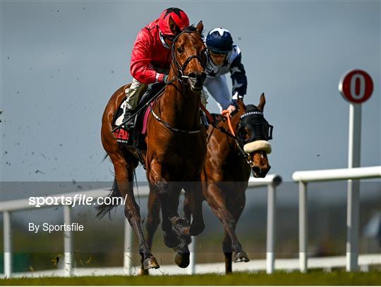 Horse Racing from The Curragh