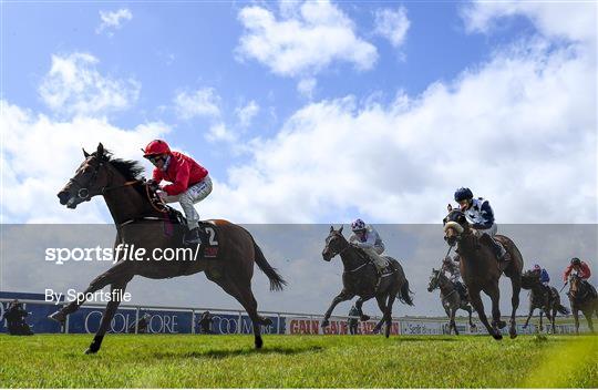 Horse Racing from The Curragh