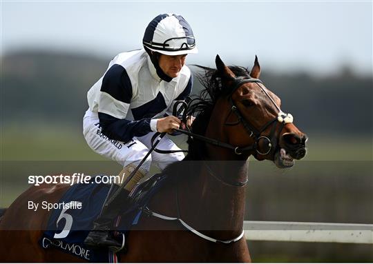Horse Racing from The Curragh Horse Racing from The Curragh