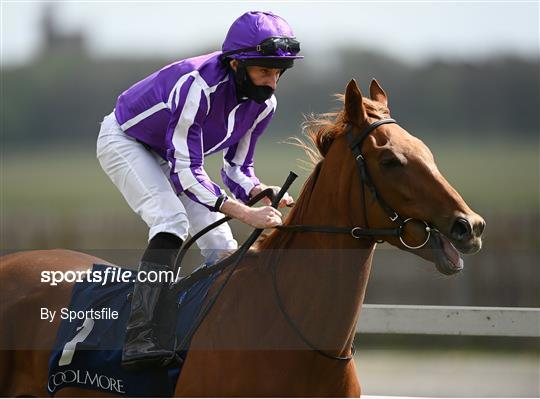 Horse Racing from The Curragh