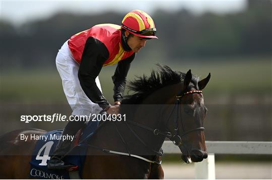 Horse Racing from The Curragh Horse Racing from The Curragh