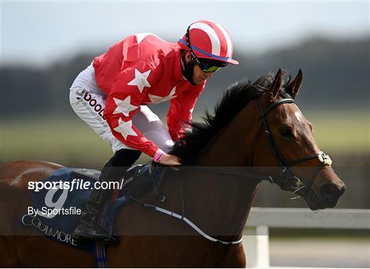 Horse Racing from The Curragh Horse Racing from The Curragh