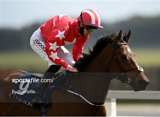 Horse Racing from The Curragh