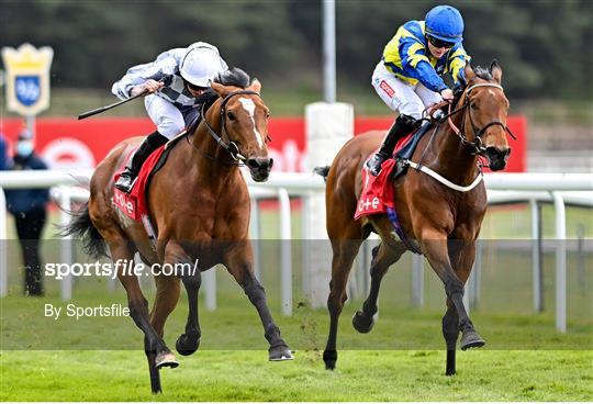 Horse Racing from Chester Racecourse