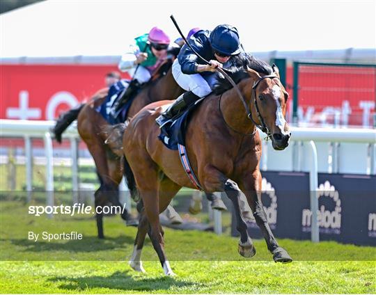 Horse Racing from Chester Racecourse